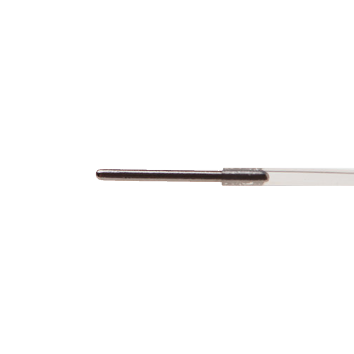 Catheter Plugs